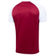 Футболка игровая CAMP Reglan Jersey JFT-1021-G1-K, гранатовый/белый, детская